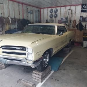 Meet your Posher, Martin